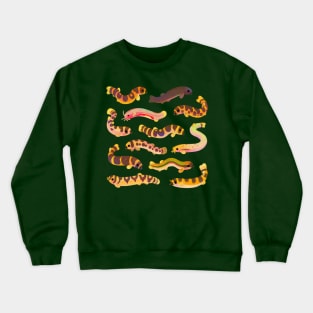 Pangio loaches (Kuhli loach) Crewneck Sweatshirt